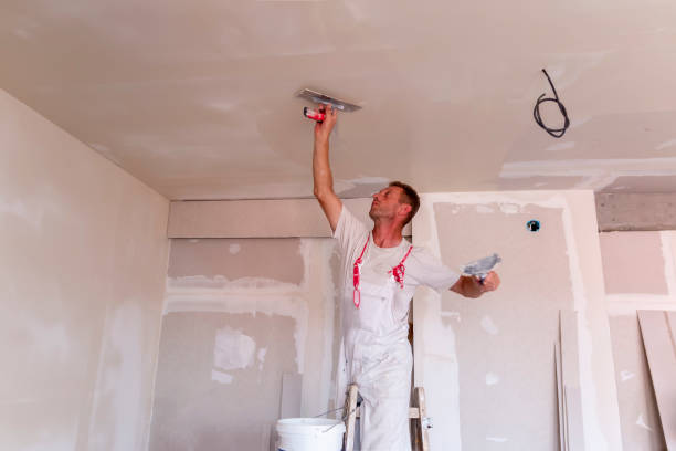 Drywall and painting service